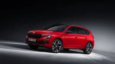 skoda kamiq 2023 kronik sorunları