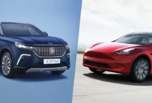 Model y vs Togg